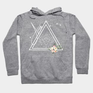 Aries Zodiac Signs Astrology Sun Dial Hoodie